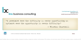 Lins Business Consulting website.
