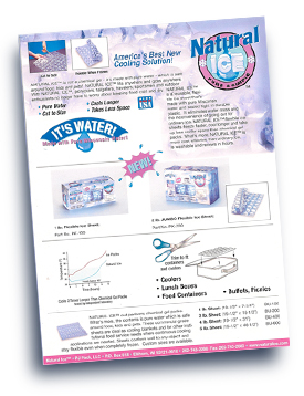 Natural Ice Spec Sheet flyer.